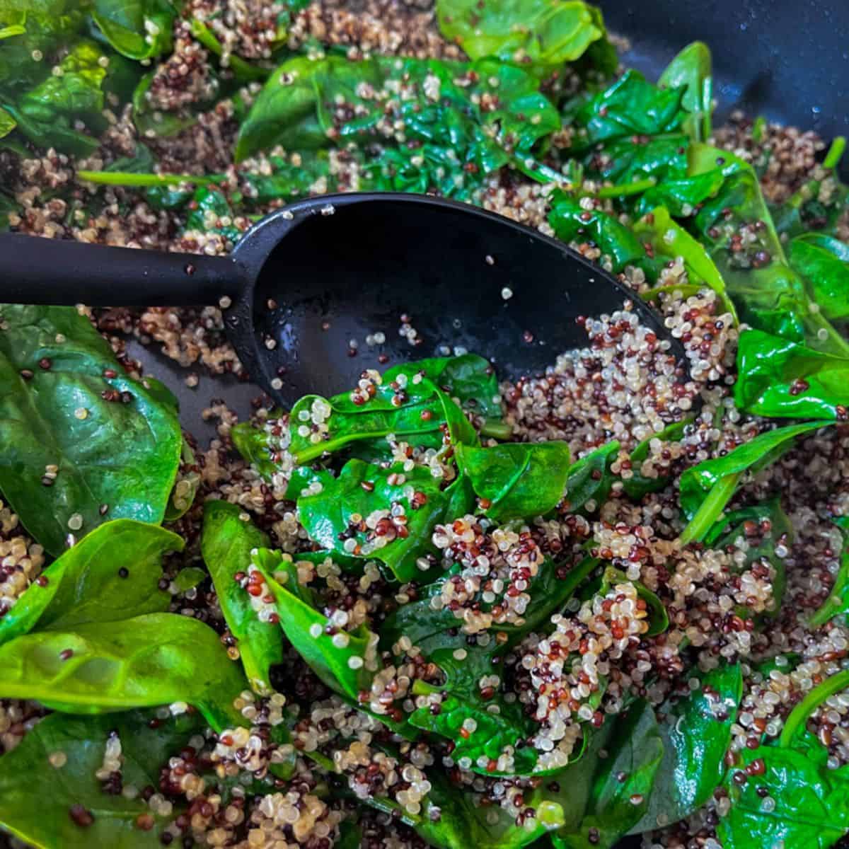 A black skillet and spoon with cooked tri-color quinoa with fresh spinach being stirred in.