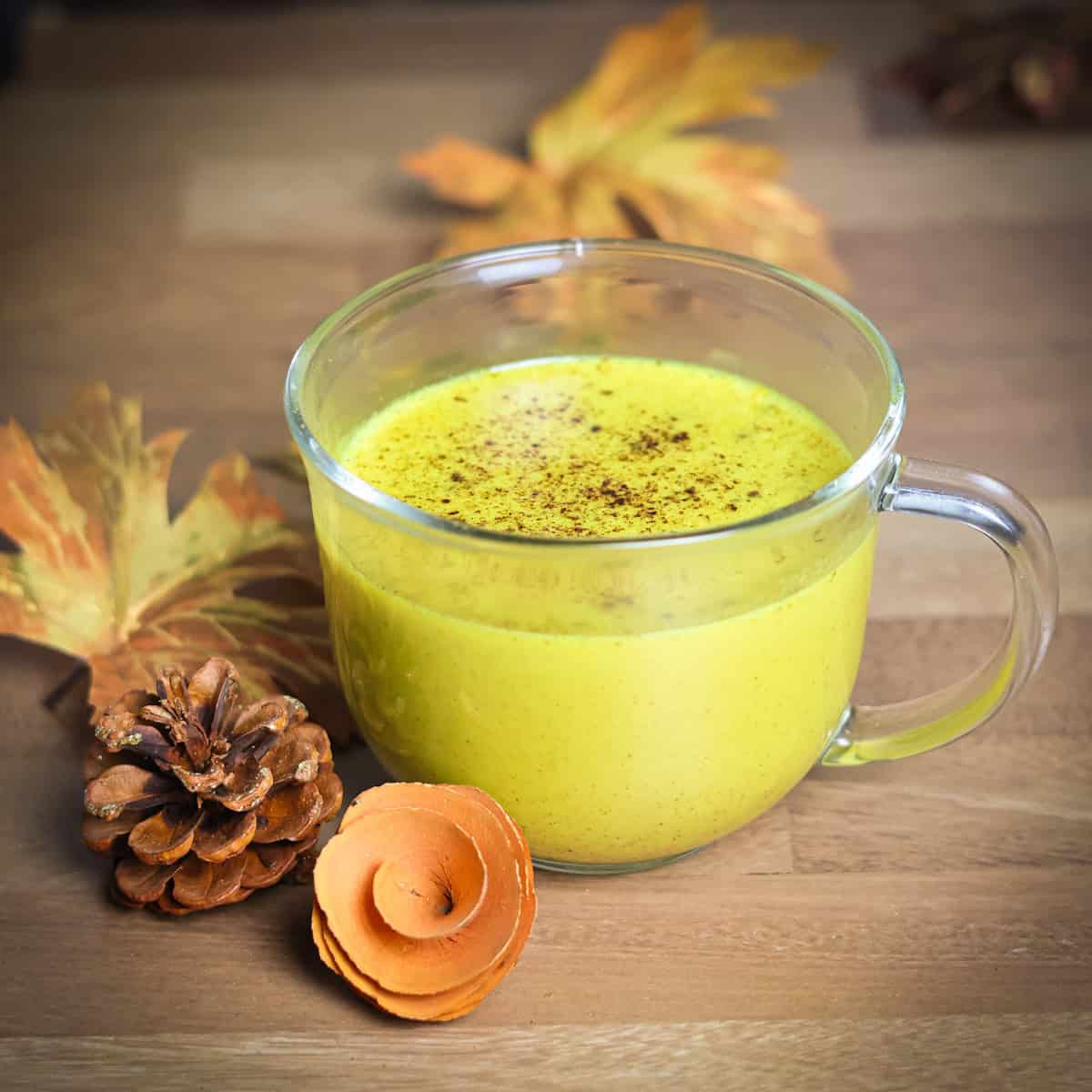 A fall styled photo of a garnished mug of a golden milk latte.