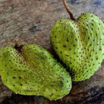 Two recently picked soursop fruit pieces.