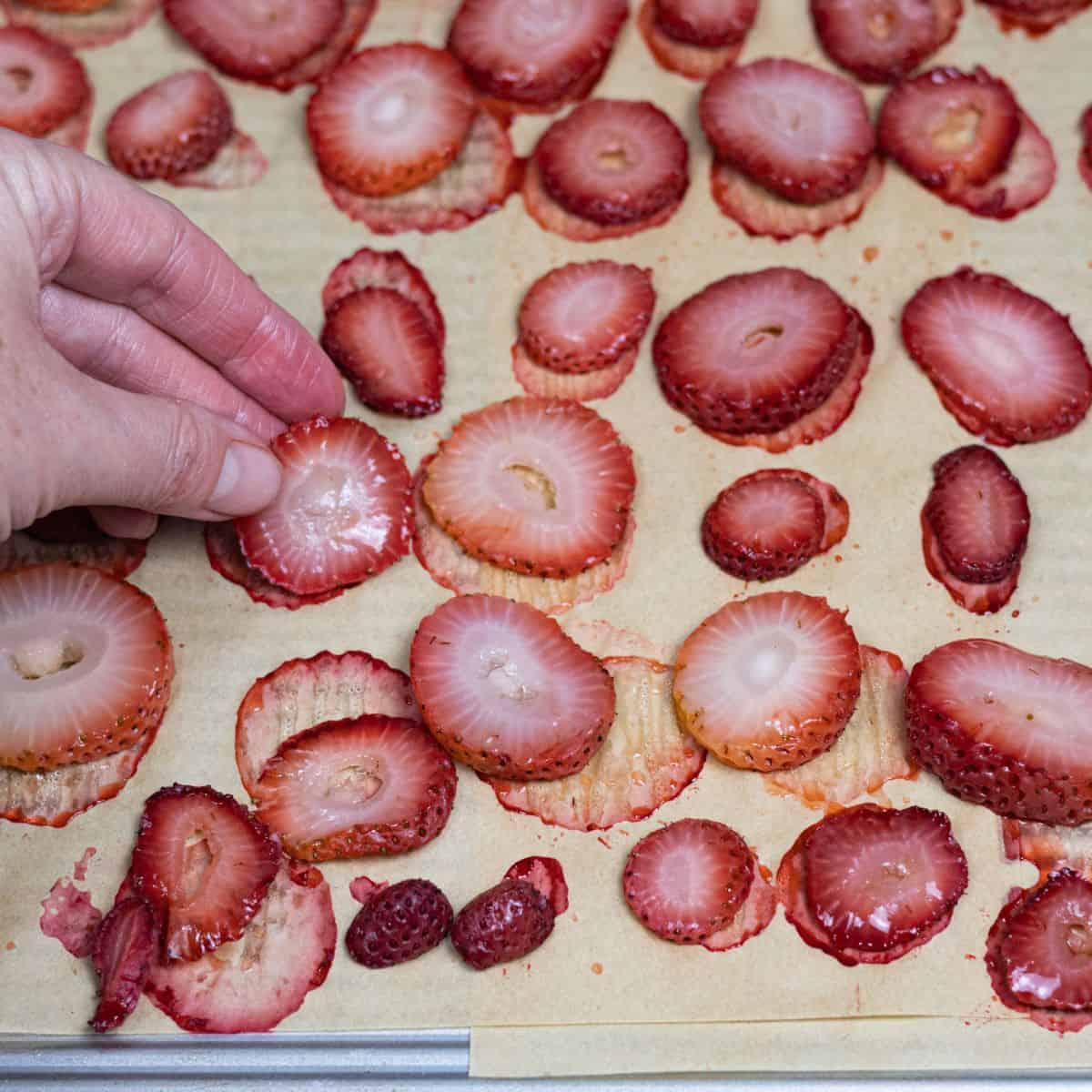 Strawberries slices being flipped to dry longer in the oven.